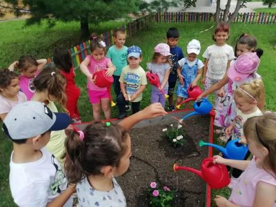 Мини розова градинка! Малки и големи с усмивки и лейки се грижим за нея! - ДГ 15 Райна Княгиня - Перник