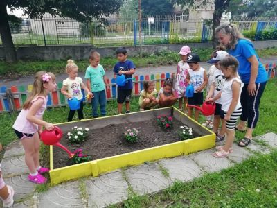Мини розова градинка! Малки и големи с усмивки и лейки се грижим за нея! - ДГ 15 Райна Княгиня - Перник