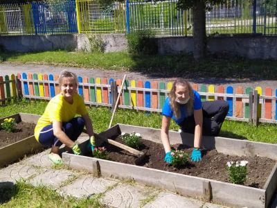 Мини розова градинка! Малки и големи с усмивки и лейки се грижим за нея! - ДГ 15 Райна Княгиня - Перник